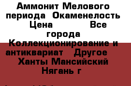 Аммонит Мелового периода. Окаменелость. › Цена ­ 2 800 - Все города Коллекционирование и антиквариат » Другое   . Ханты-Мансийский,Нягань г.